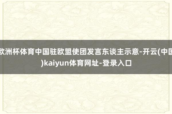 欧洲杯体育中国驻欧盟使团发言东谈主示意-开云(中国)kaiyun体育网址-登录入口