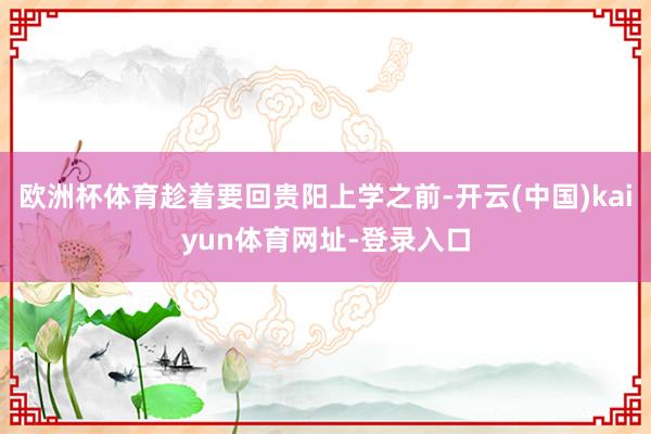 欧洲杯体育趁着要回贵阳上学之前-开云(中国)kaiyun体育网址-登录入口
