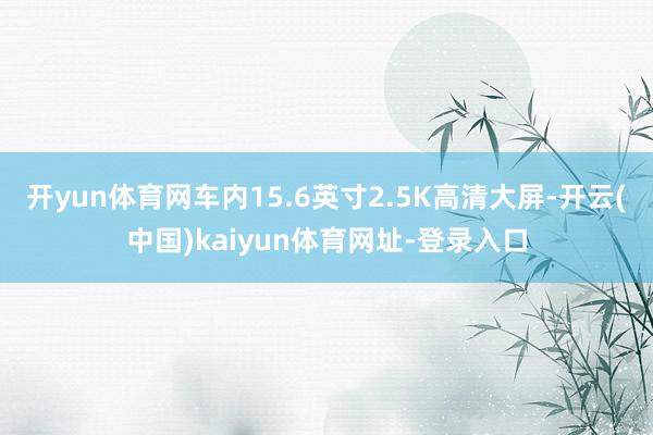 开yun体育网车内15.6英寸2.5K高清大屏-开云(中国)kaiyun体育网址-登录入口