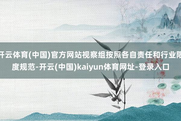 开云体育(中国)官方网站视察组按照各自责任和行业限度规范-开云(中国)kaiyun体育网址-登录入口